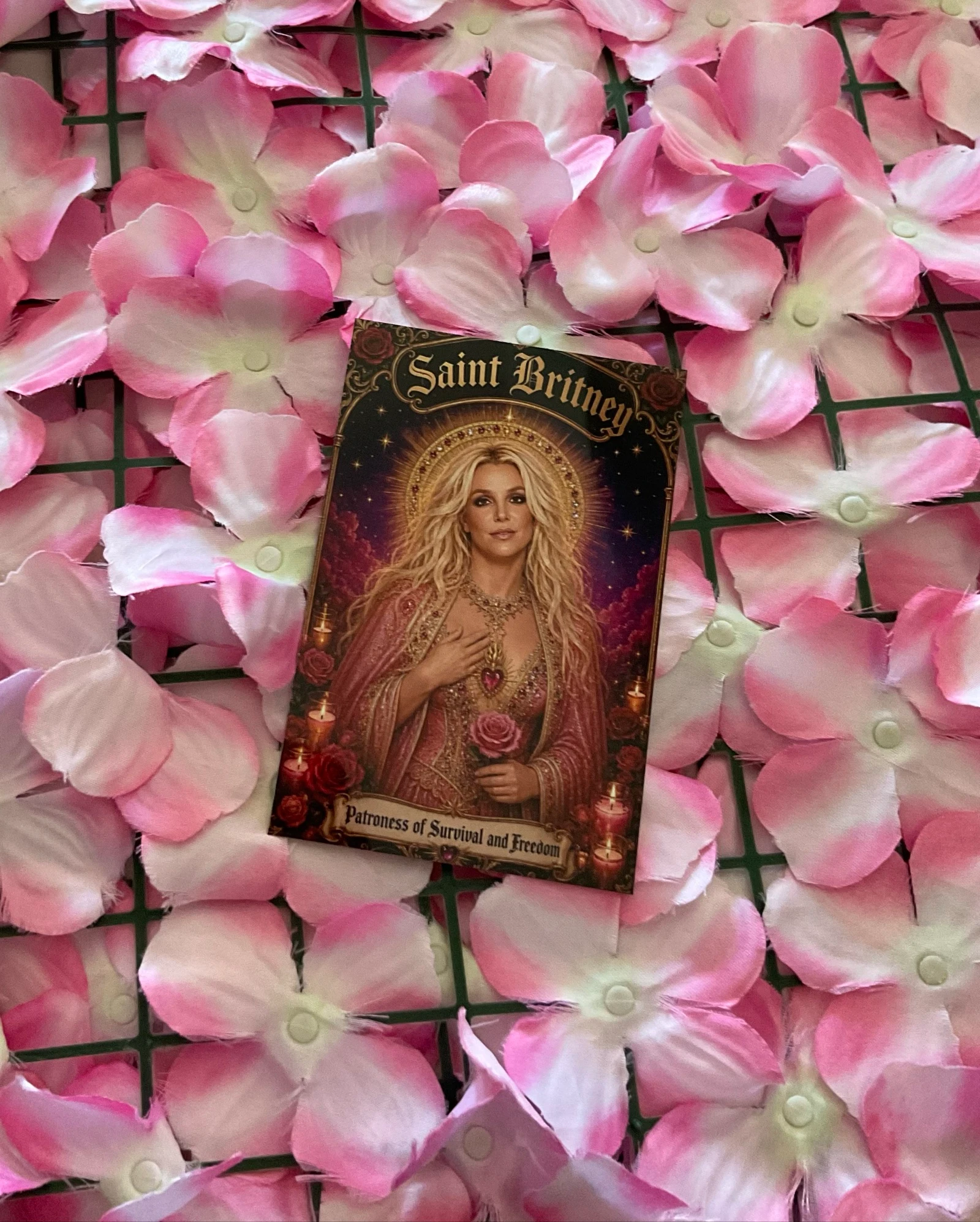 Postal Britney – photo 8